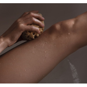 DR.HAUSCHKA Kosmetikschwamm